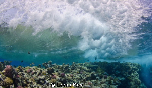 The wave by Leena Roy 
